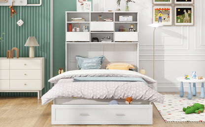 Queen Murphy Bed with Bookcase Storage – White