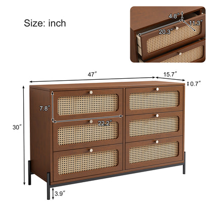 Modern Rattan Wood Closet – Walnut