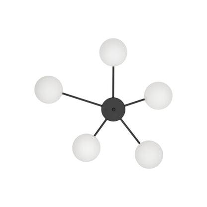 ELTON Black Scandinavian Ceiling Lamp 5