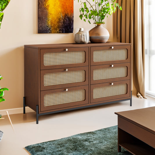 Modern Rattan Wood Closet – Walnut