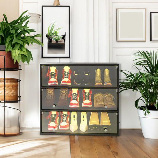 LED Illuminated Shoe Storage Case