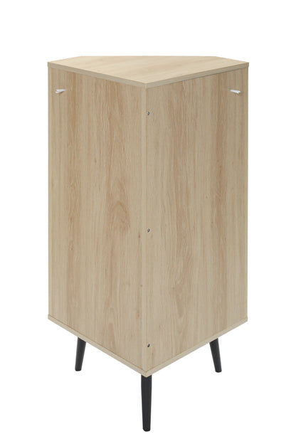 Rattan Corner Cabinet with Door and Shelf