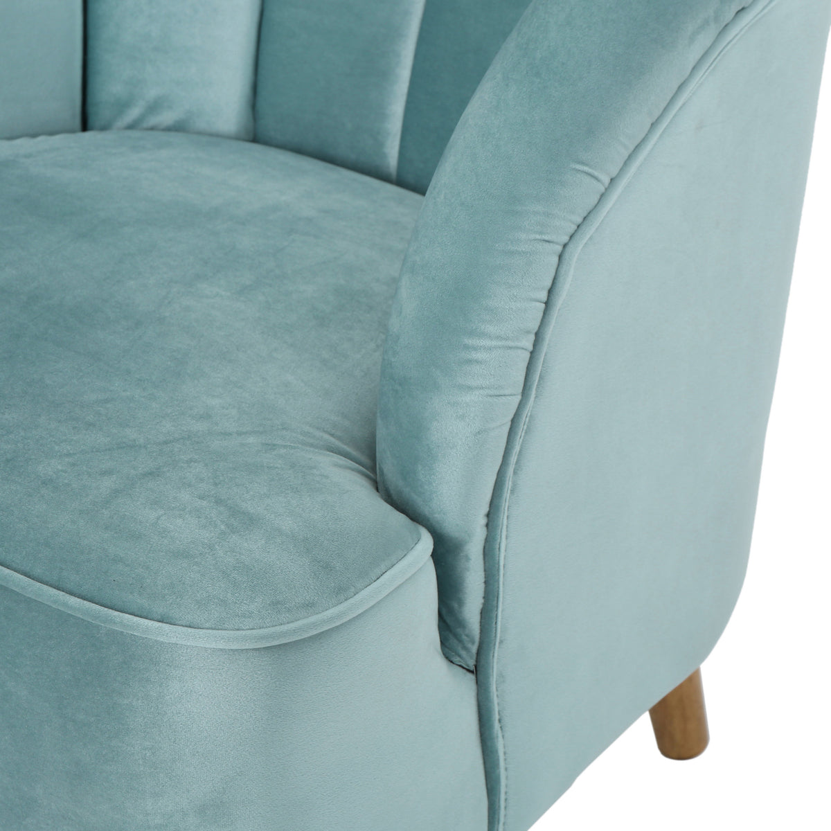 Velvet Accent Chair for Living Rooms Blue
