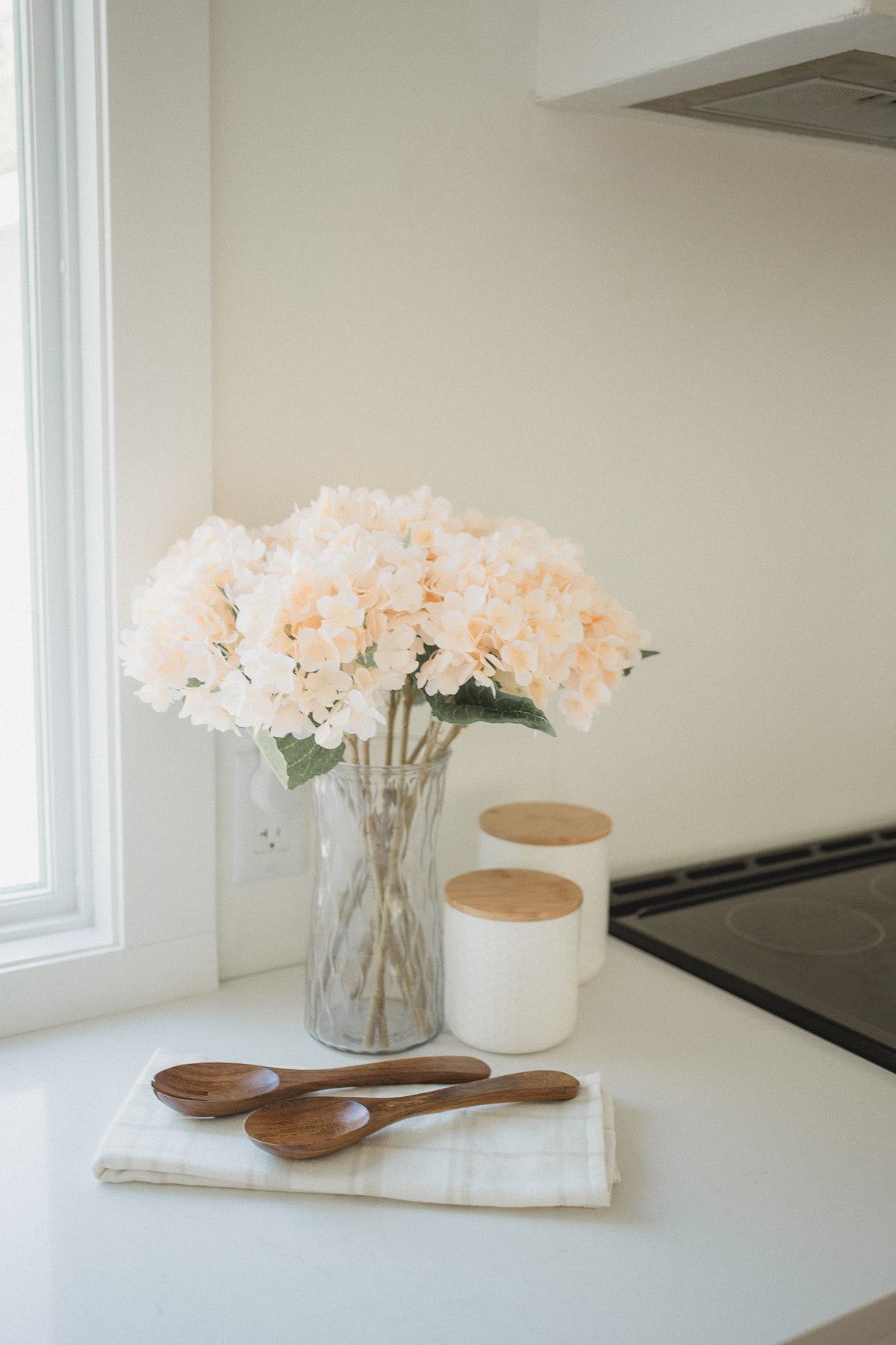 Hydrangea