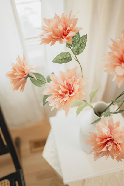 Dahlia