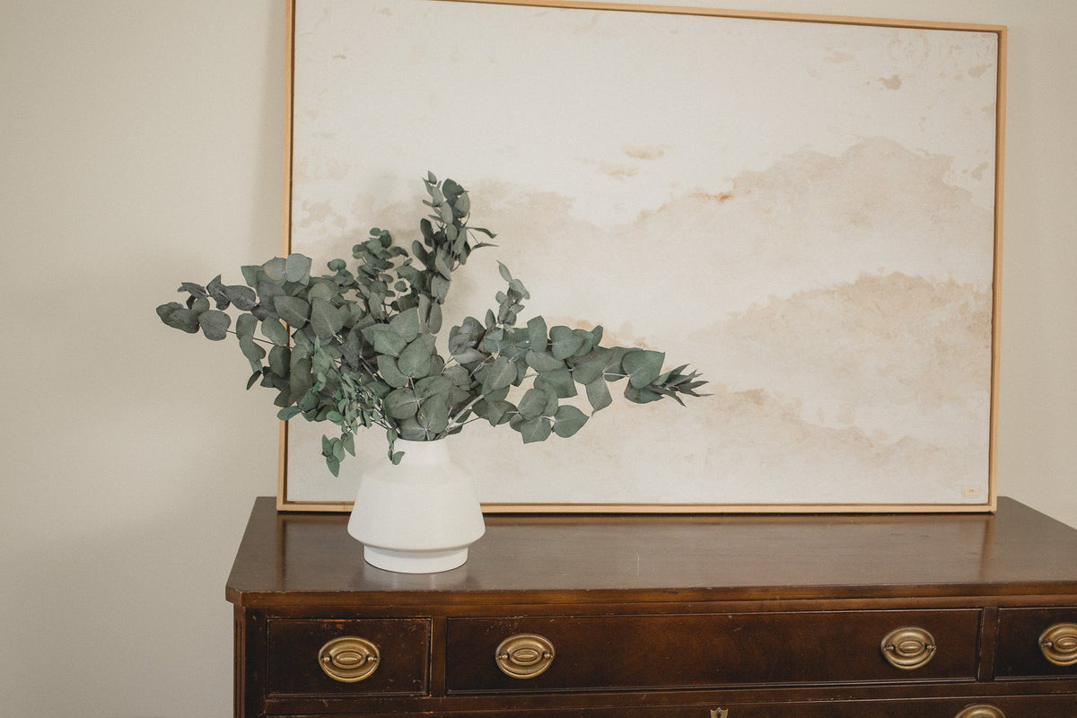 Italian Cinera Eucalyptus