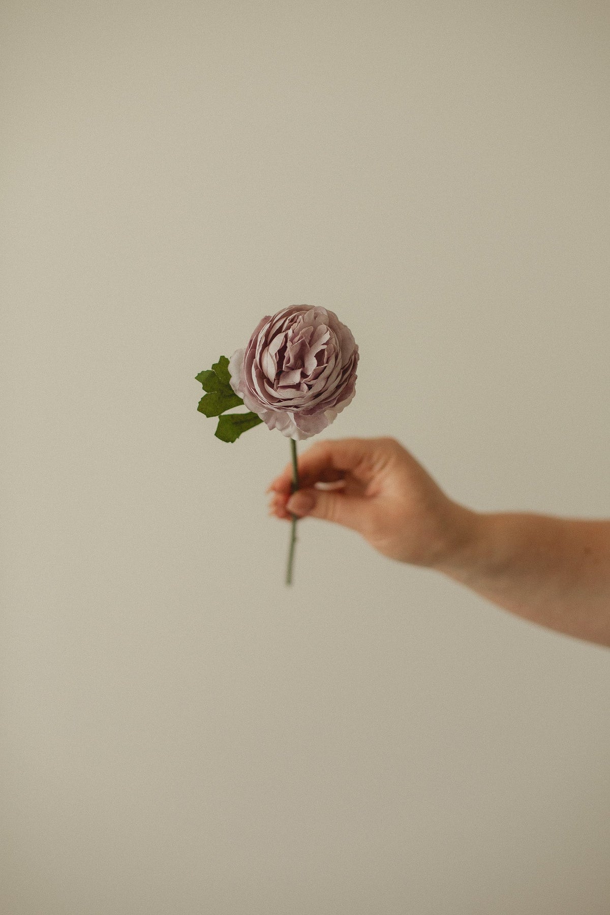 English Rose