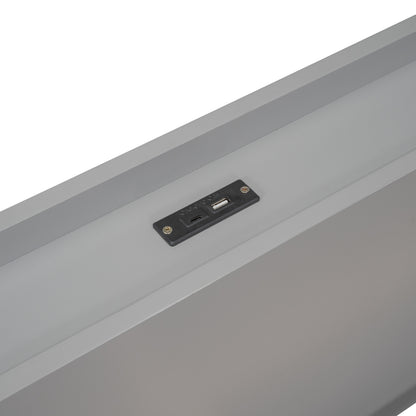 Twin Platform Bed with USB Ports Gray Finish