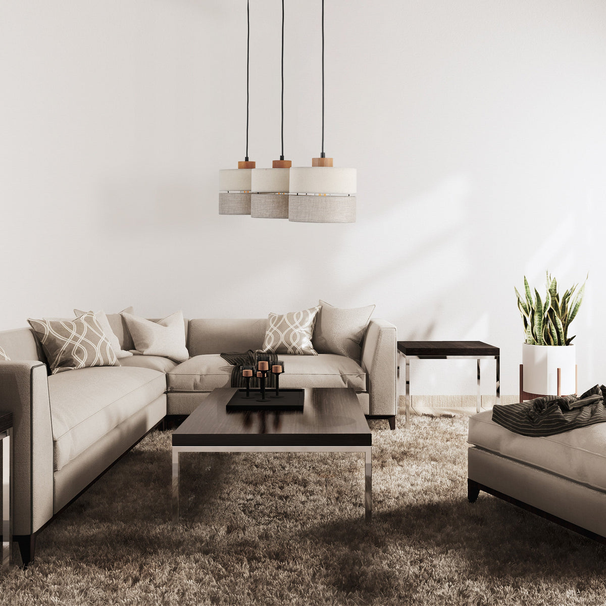 ECO Scandinavian Pendant  Light 3