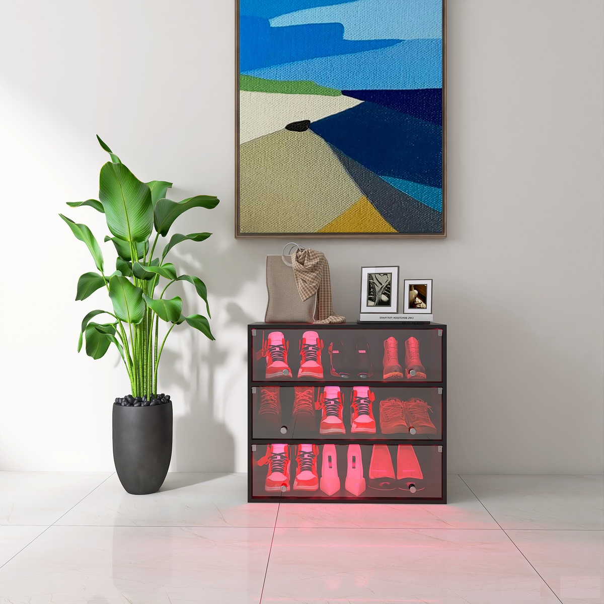 LED Illuminated Shoe Storage Case