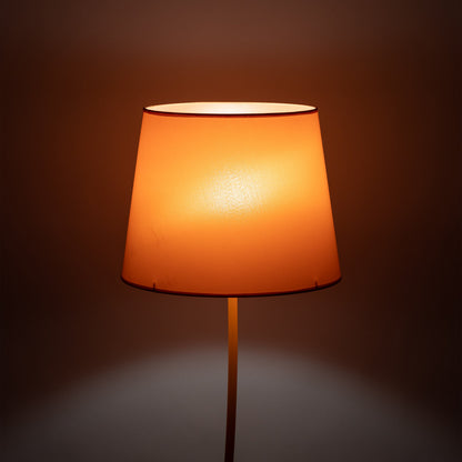 NICOLA Orange Mid-Century Modern Floor Lamp