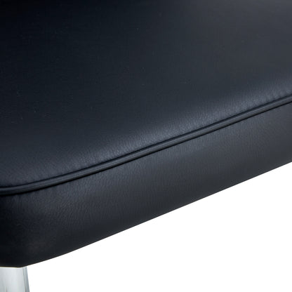 Modern Black Dining Chair Set (2 pcs)