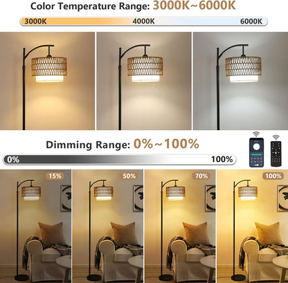 Arc Floor Lamp with Remote 3-Color Light