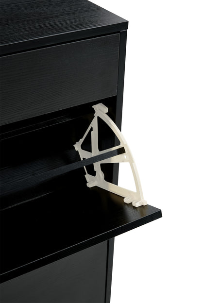 Black Shoe Storage Cabinet