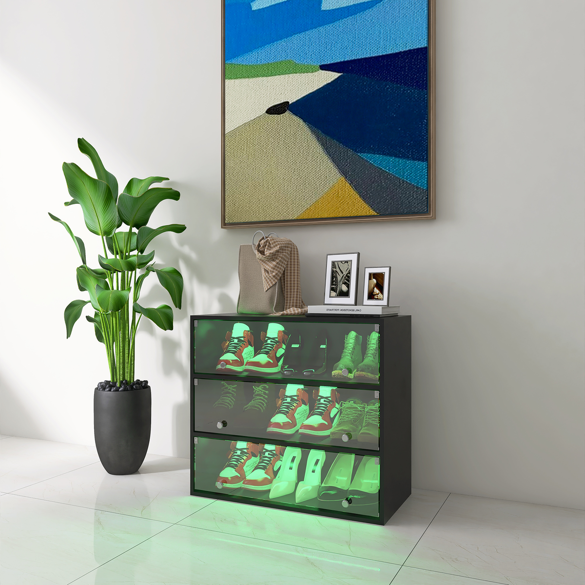 LED Illuminated Shoe Storage Case