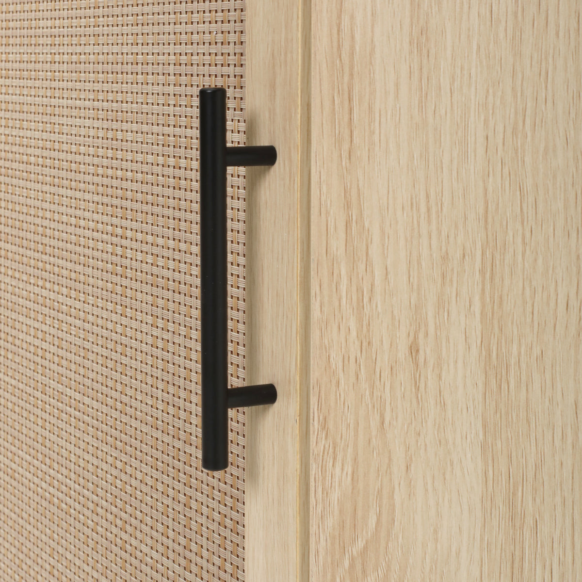 Rattan Corner Cabinet with Door and Shelf