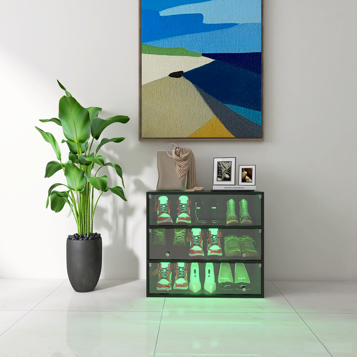 LED Illuminated Shoe Storage Case