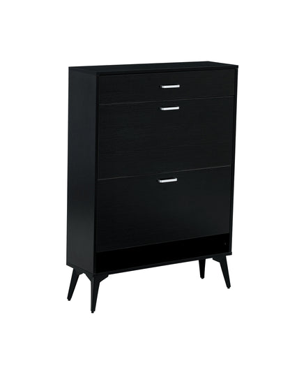 Black Shoe Storage Cabinet