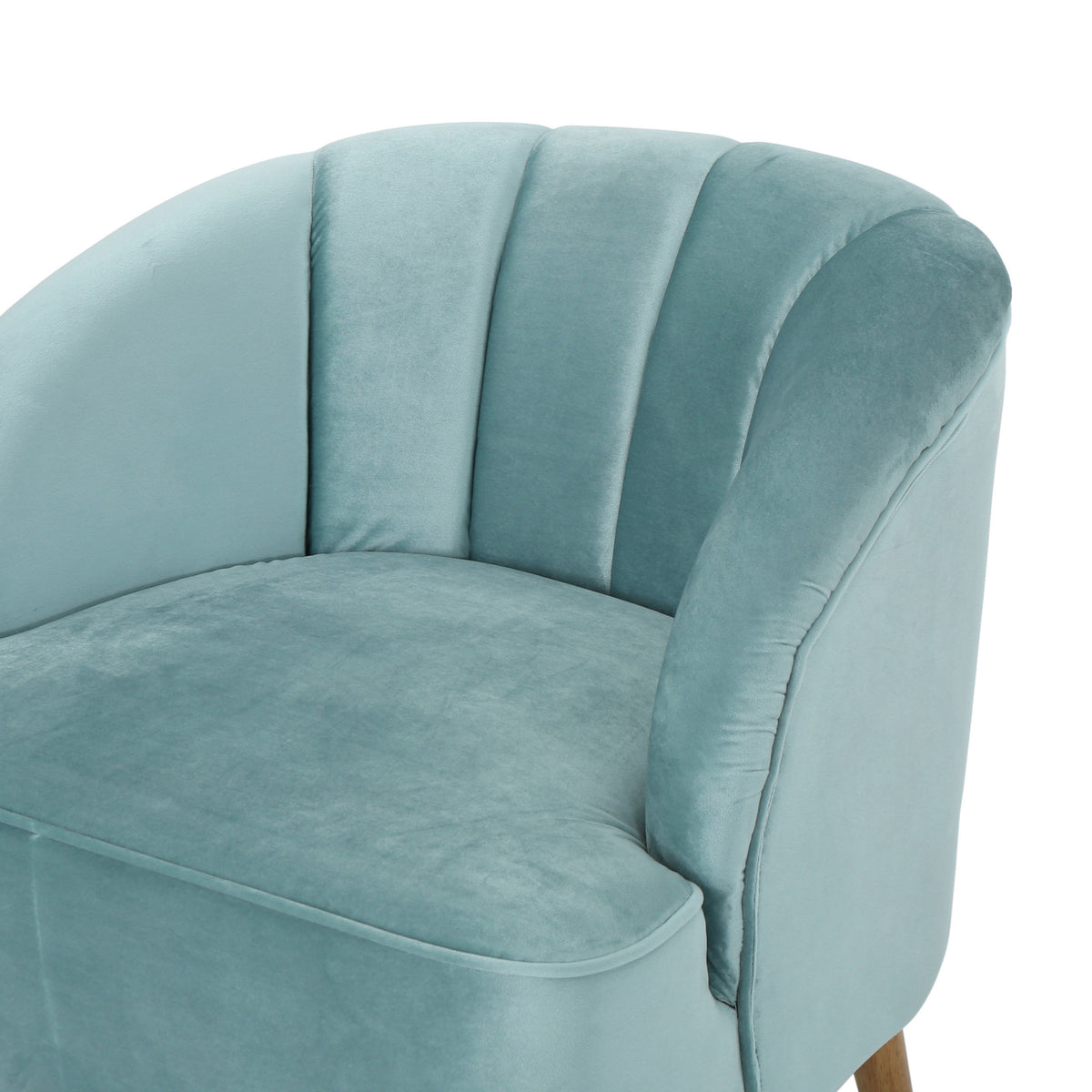 Velvet Accent Chair for Living Rooms Blue