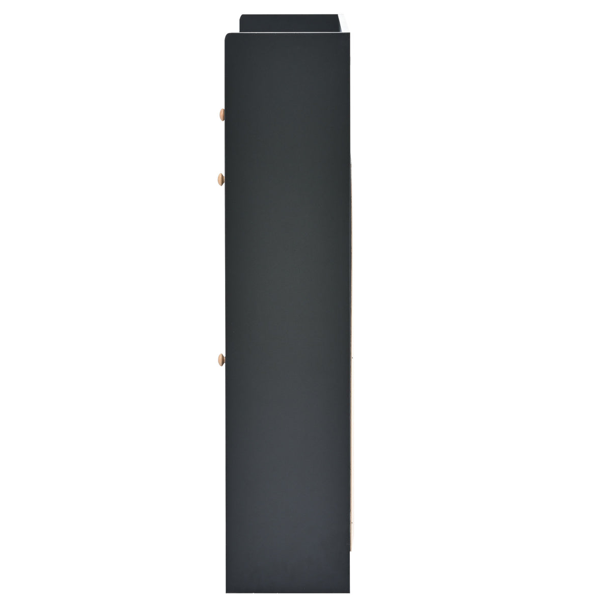 Modern Black Double-Layer Shoe Cabinet with Drawers