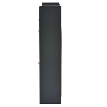 Modern Black Double-Layer Shoe Cabinet with Drawers