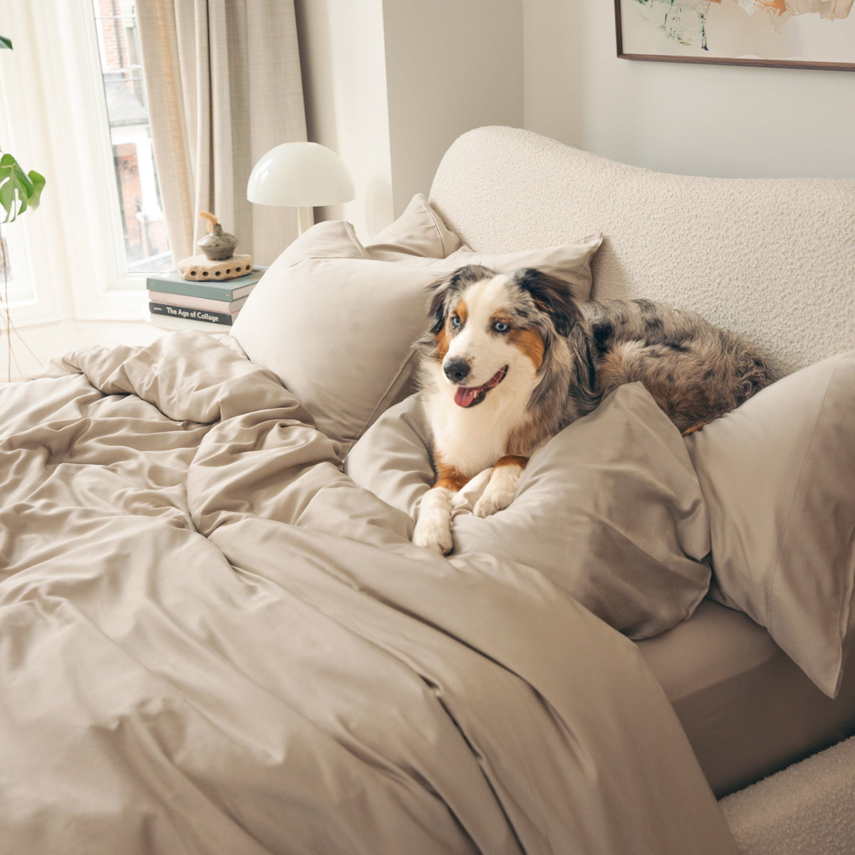 Organic Bamboo Sateen Duvet Cover Set