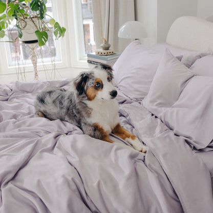 Organic Bamboo Sateen Duvet Cover Set