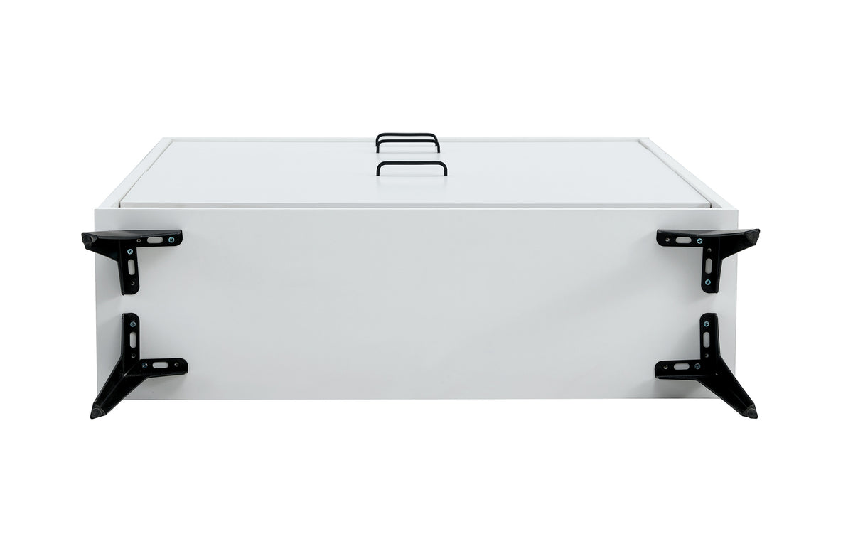 White Shoe Storage Cabinet