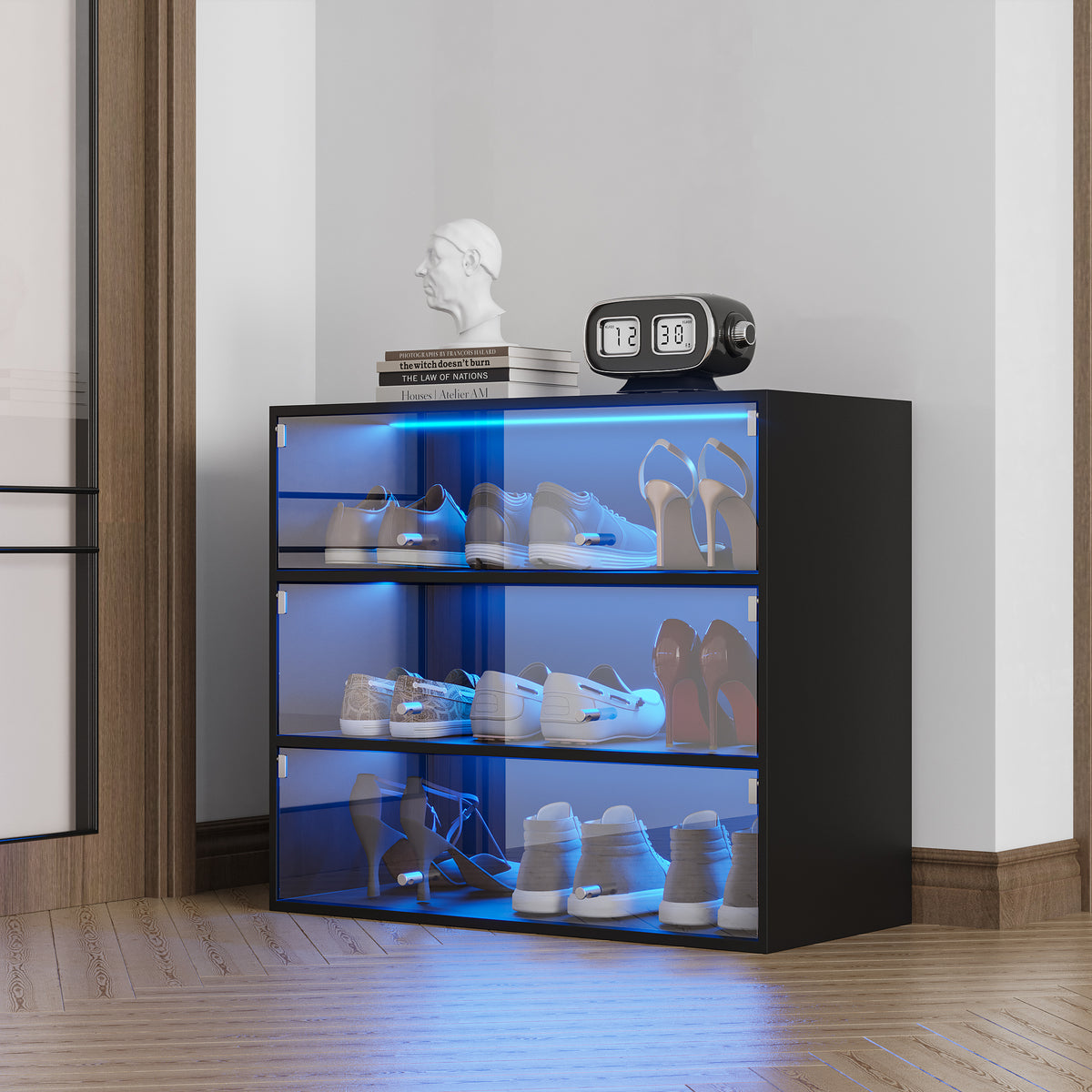 Black Glass Shoe Cabinet with RGB LED Lights