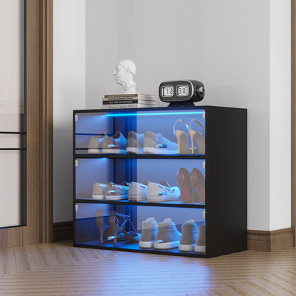 Black Glass Shoe Cabinet with RGB LED Lights