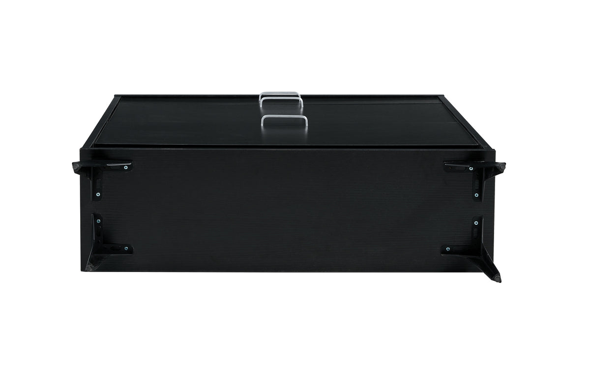 Black Shoe Storage Cabinet