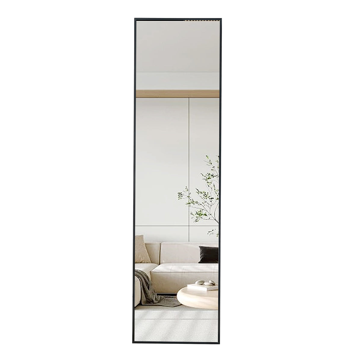 Full-Length Aluminum Mirror 65 x 23 Black Frame
