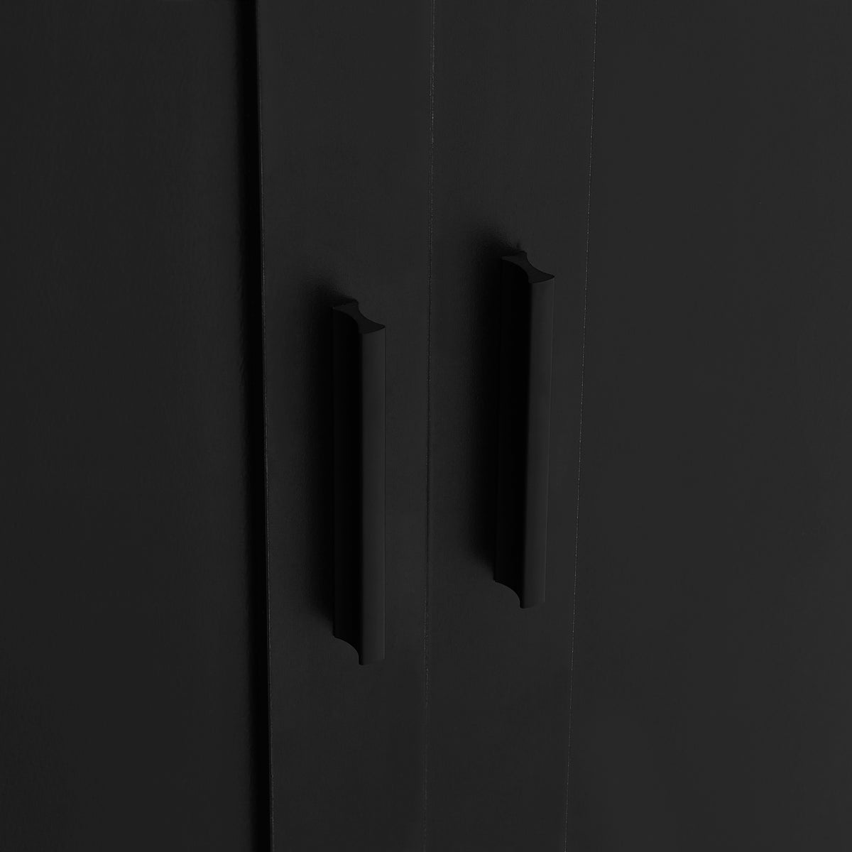Black Storage Cabinet with Adjustable Shelf MDF Board