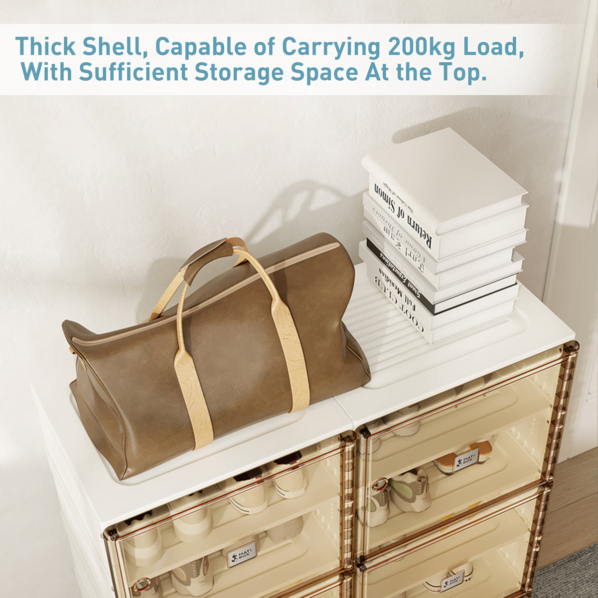 Stackable Shoe Storage Cabinet with Doors and Shelves