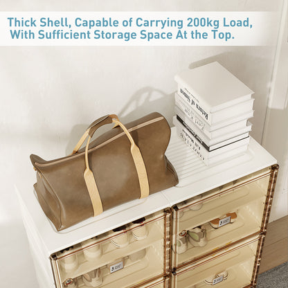 Stackable Shoe Storage Cabinet with Doors and Shelves