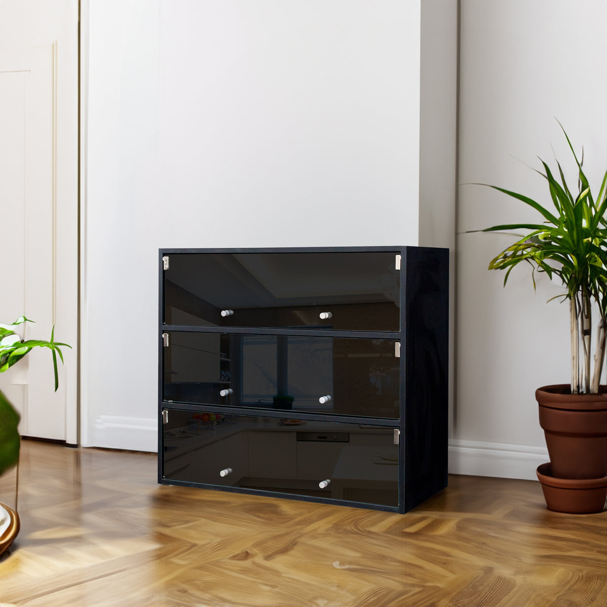 Black Glass Shoe Cabinet with RGB LED Lights