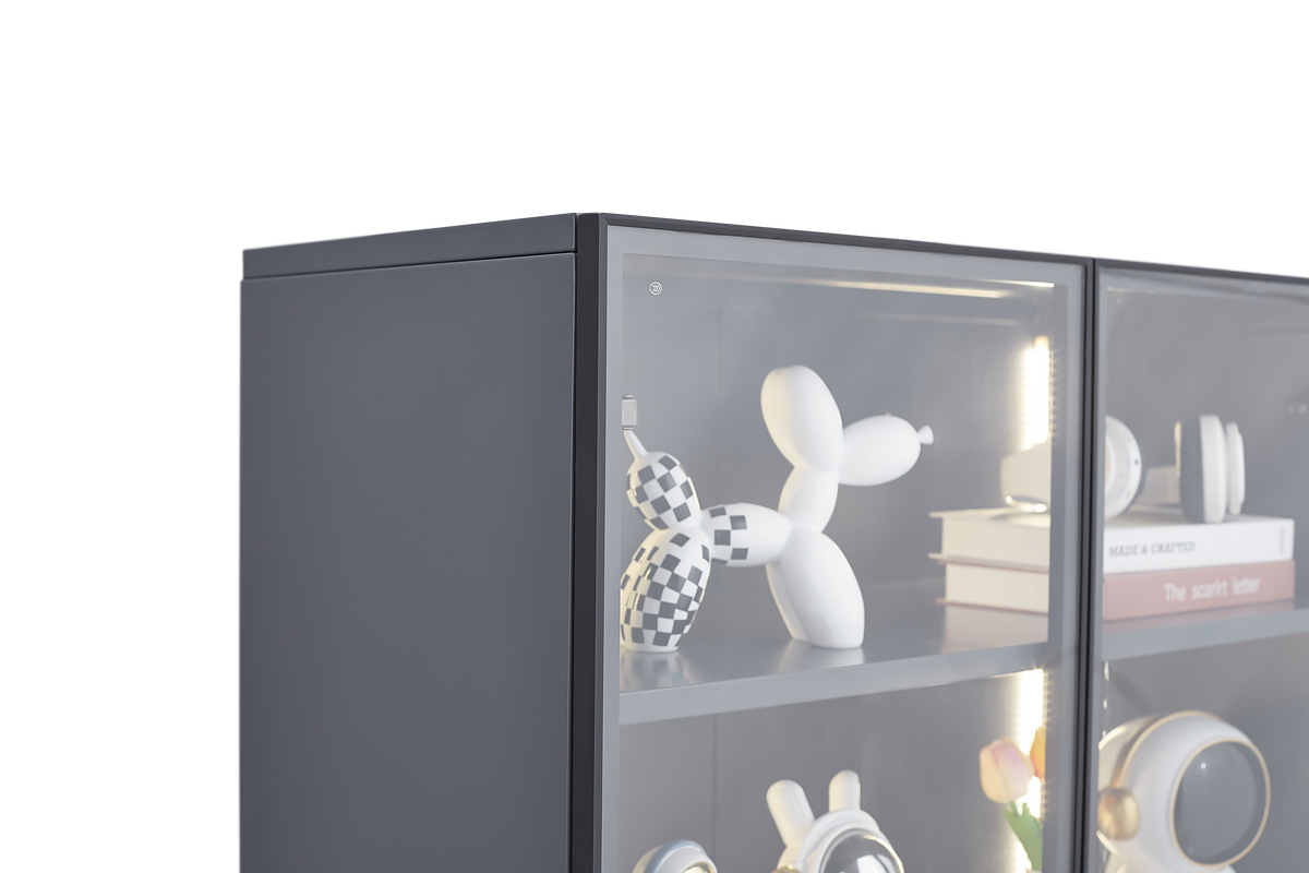 Modern Display Storage Cabinet with Shelves