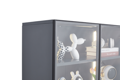 Modern Display Storage Cabinet with Shelves
