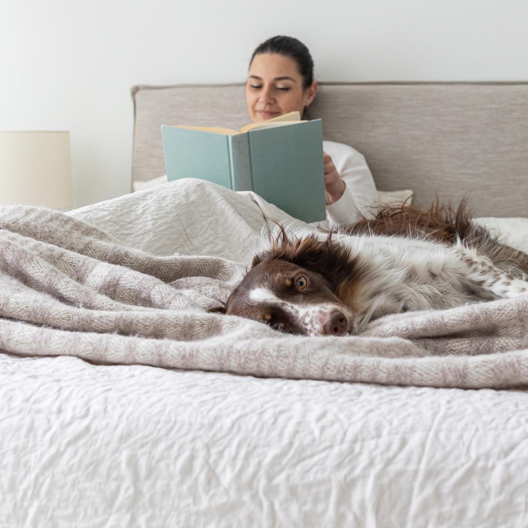 Julia Queen Storage Bed - Sand