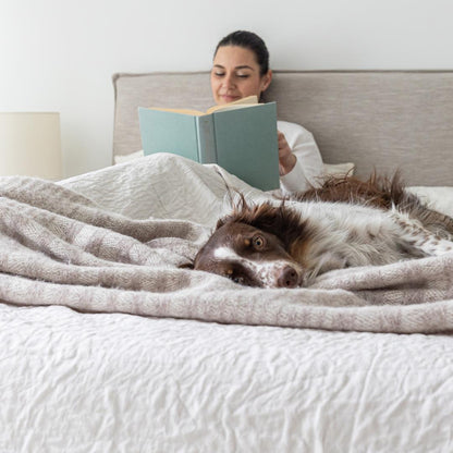 Julia Queen Storage Bed - Sand